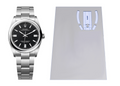 Rolex Oyster Perpetual 34mm Ref: 124200 2X Clasp Protection Kit