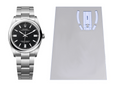 Rolex Oyster Perpetual 31mm Ref: 277200 2X Clasp Protection Kit