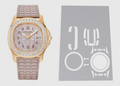 Patek Philippe Aquanaut 5072-001 Watch Protection Kit